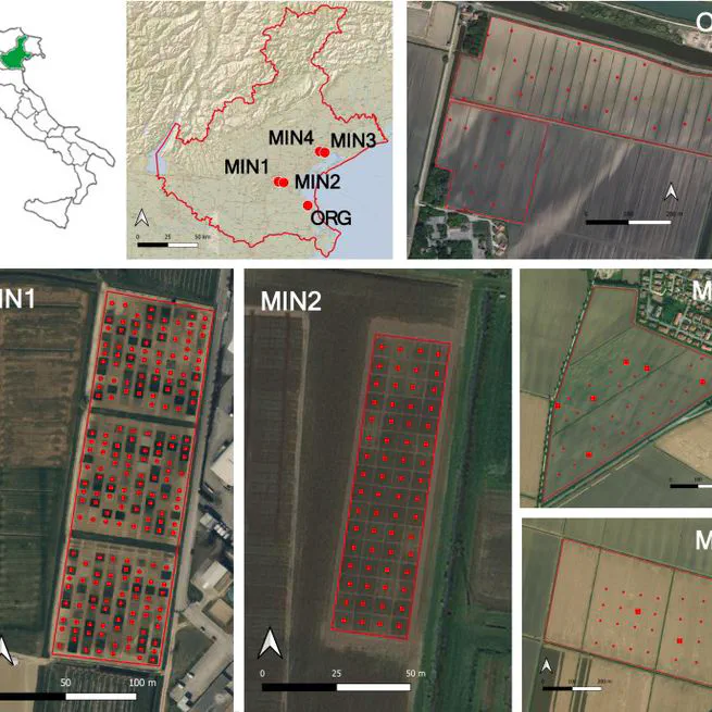 Advancing soil texture and organic carbon spatial variability assessment: Integrating proximal γ-ray spectroscopy and electromagnetic induction via data fusion for site-independent analysis